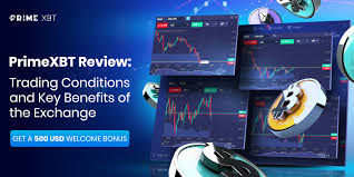 Your Guide to Successful PrimeXBT Trading Your Guide to Successful PrimeXBT Trading