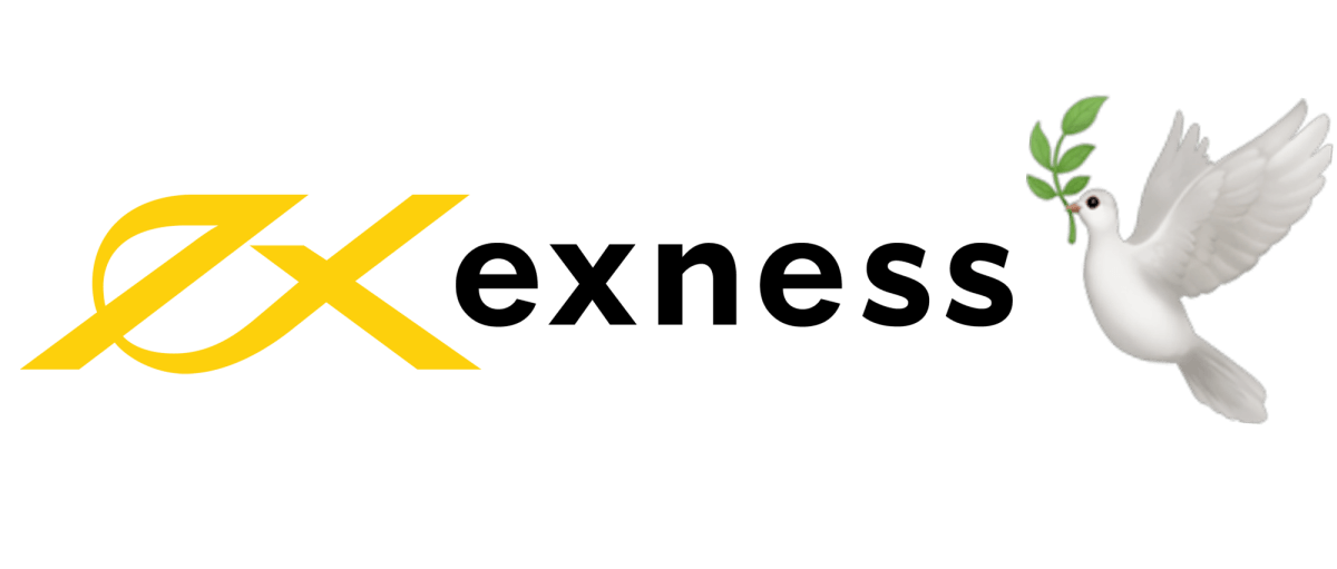 Exness Forex Broker A Comprehensive Review and Guide