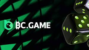Guia Completo sobre o login BC Game